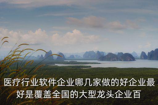 醫療行業軟件企業哪幾家做的好企業最好是覆蓋全國的大型龍頭企業百