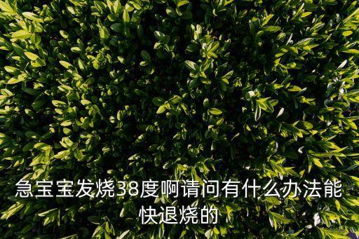 急寶寶發(fā)燒38度啊請問有什么辦法能快退燒的