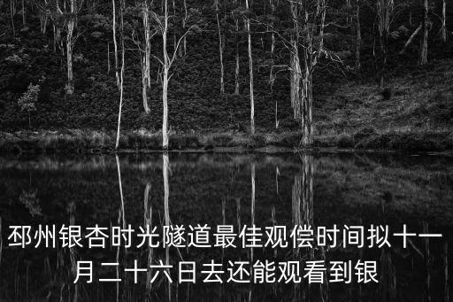 邳州銀杏時光隧道最佳觀償時間擬十一月二十六日去還能觀看到銀