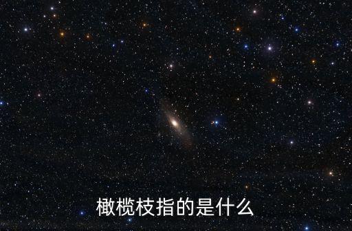 橄欖枝指的是什么