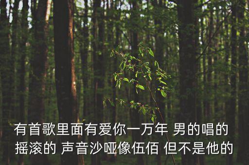 有首歌里面有愛你一萬年 男的唱的 搖滾的 聲音沙啞像伍佰 但不是他的