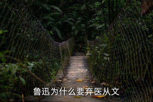 魯迅為什么要棄醫(yī)從文