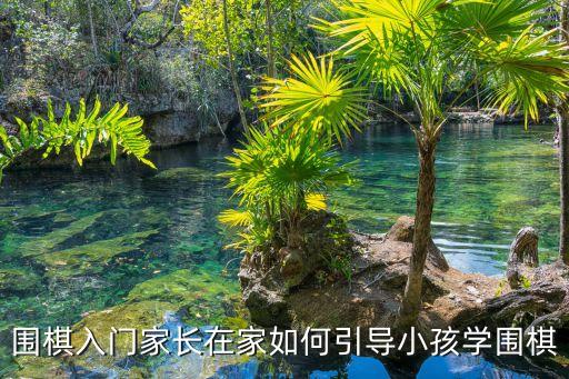 少兒圍棋入門，圍棋入門家長在家如何引導小孩學圍棋
