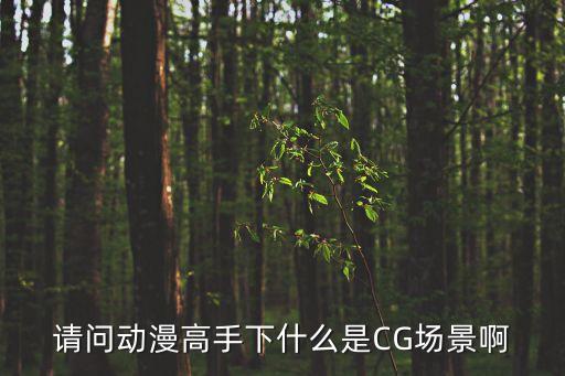 請問動漫高手下什么是CG場景啊