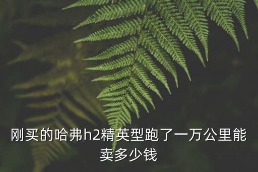 剛買的哈弗h2精英型跑了一萬公里能賣多少錢