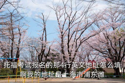 托福考試報名的那4行英文地址怎么填啊我的地址是上海市浦東濰
