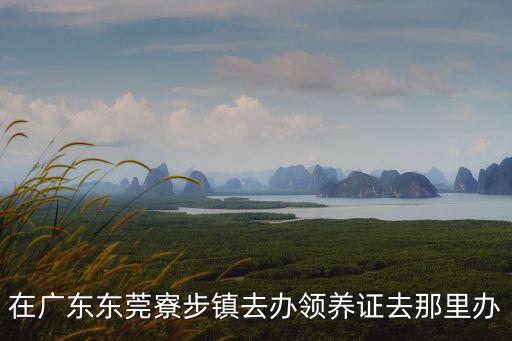 在廣東東莞寮步鎮去辦領養證去那里辦