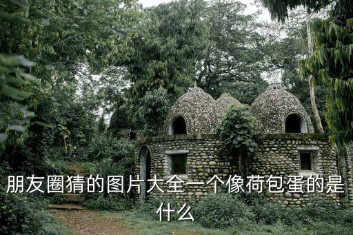 朋友圈猜的圖片大全一個(gè)像荷包蛋的是什么