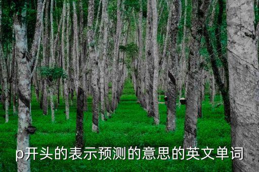 預(yù)測(cè)的英文，預(yù)言用英語(yǔ)怎么說(shuō)