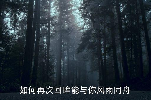 如何再次回眸能與你風雨同舟