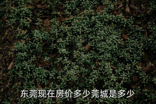 東莞現(xiàn)在房價(jià)多少莞城是多少