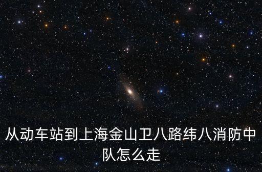 從動車站到上海金山衛八路緯八消防中隊怎么走