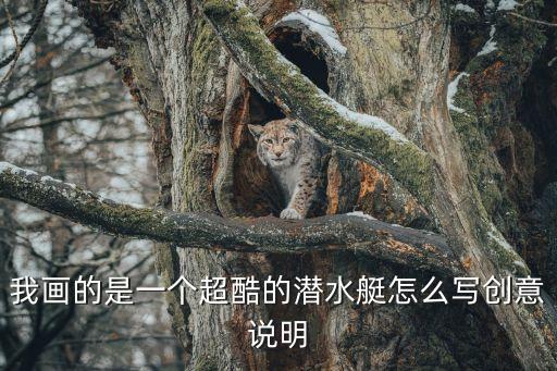 我畫的是一個超酷的潛水艇怎么寫創意說明