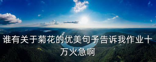 誰(shuí)有關(guān)于菊花的優(yōu)美句子告訴我作業(yè)十萬(wàn)火急啊