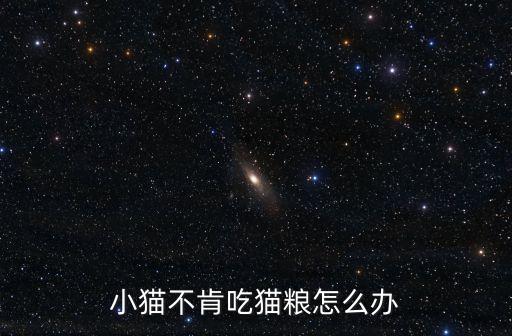 小貓不肯吃貓糧怎么辦
