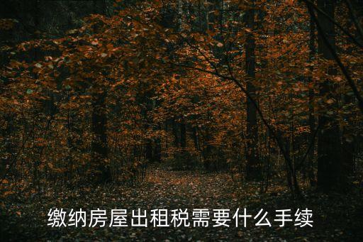 繳納房屋出租稅需要什么手續(xù)