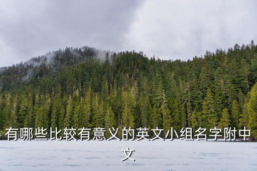 有哪些比較有意義的英文小組名字附中文