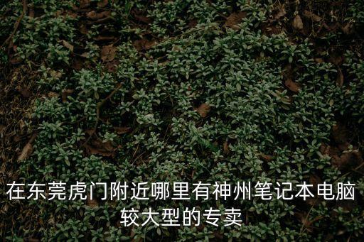 在東莞虎門附近哪里有神州筆記本電腦較大型的專賣