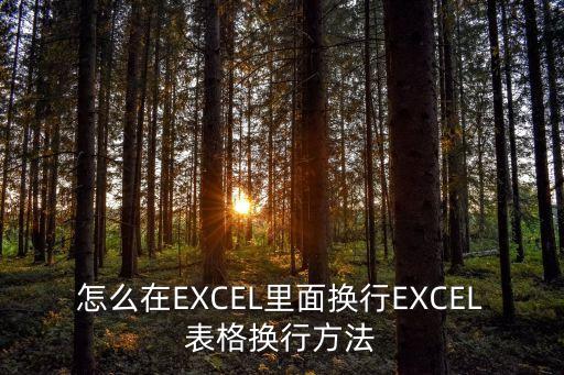 怎么在EXCEL里面換行EXCEL表格換行方法