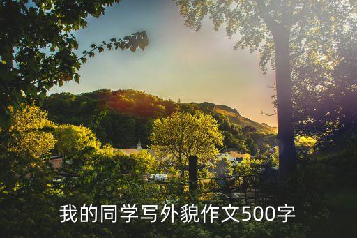 我的同學們作文，我的同學們 作文