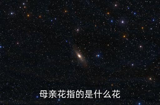 母親花指的是什么花