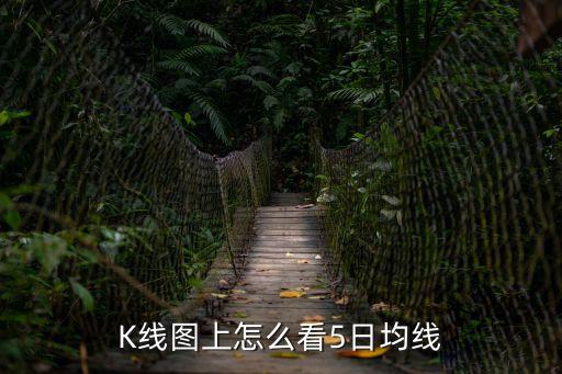 K線圖上怎么看5日均線