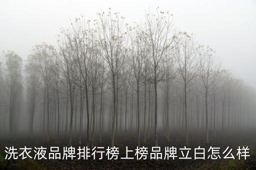 洗衣液品牌排行榜上榜品牌立白怎么樣
