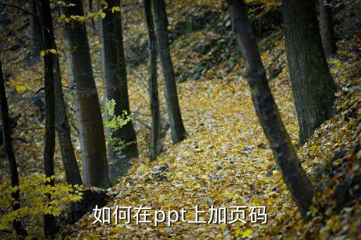 如何在ppt上加頁碼