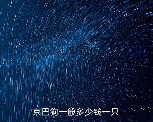 京巴狗一般多少錢一只