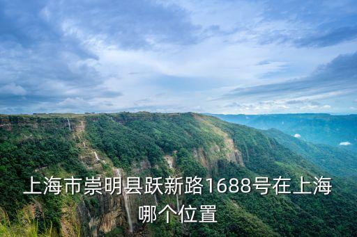 上海市崇明縣躍新路1688號在上海哪個位置