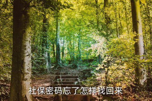 社保密碼忘了怎樣找回來