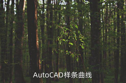 AutoCAD樣條曲線