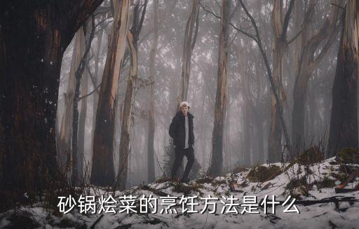 砂鍋燴菜的烹飪方法是什么
