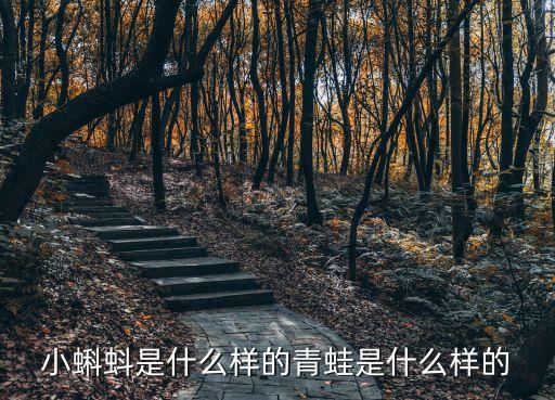 小蝌蚪是什么樣的青蛙是什么樣的