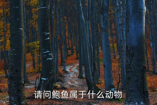 請問鮑魚屬于什么動物