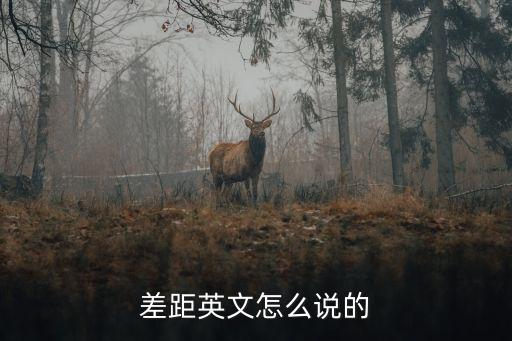 差異用英語怎么說，差距英文怎么說的