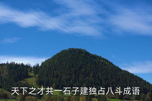 天下之才共一石子建獨占八斗成語