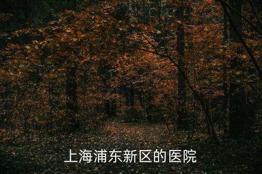 上海浦東新區的醫院