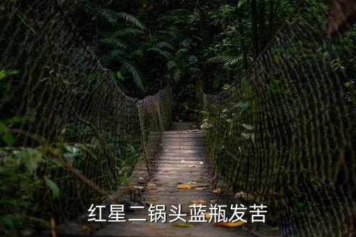 紅星二鍋頭藍瓶發苦