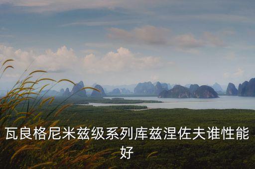 瓦良格尼米茲級系列庫茲涅佐夫誰性能好