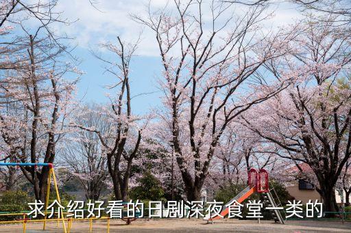 花的懶人料理，國外美食電視劇推薦