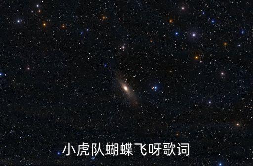 小虎隊(duì)蝴蝶飛呀歌詞