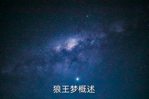 狼王夢概述