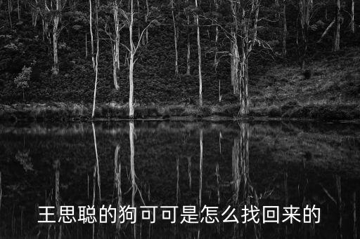 王思聰的狗可可是怎么找回來的