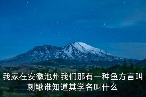 刺鰍，這是什么魚背上還有一道刺