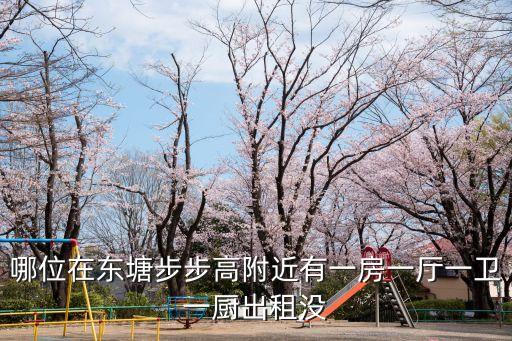 哪位在東塘步步高附近有一房一廳一衛一廚出租沒