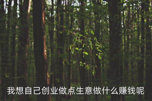 創(chuàng)業(yè)賺錢，怎樣創(chuàng)業(yè)賺錢