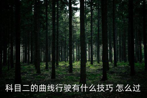 曲線行駛技巧，曲線行駛的操作技巧和要領(lǐng)是什么