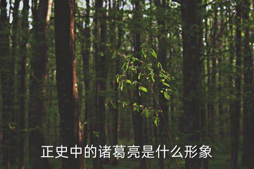 諸葛亮的形象，諸葛亮的形象特征