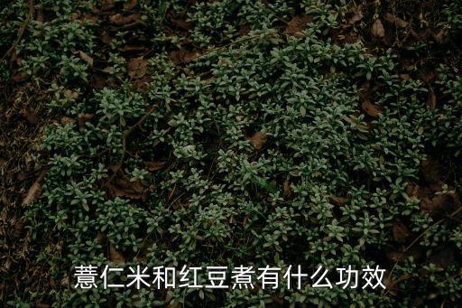 薏仁紅豆，薏仁紅豆湯怎么做